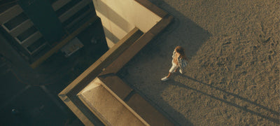 Levis - The Icons