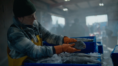 ShopRite - We Are Here: Fresh